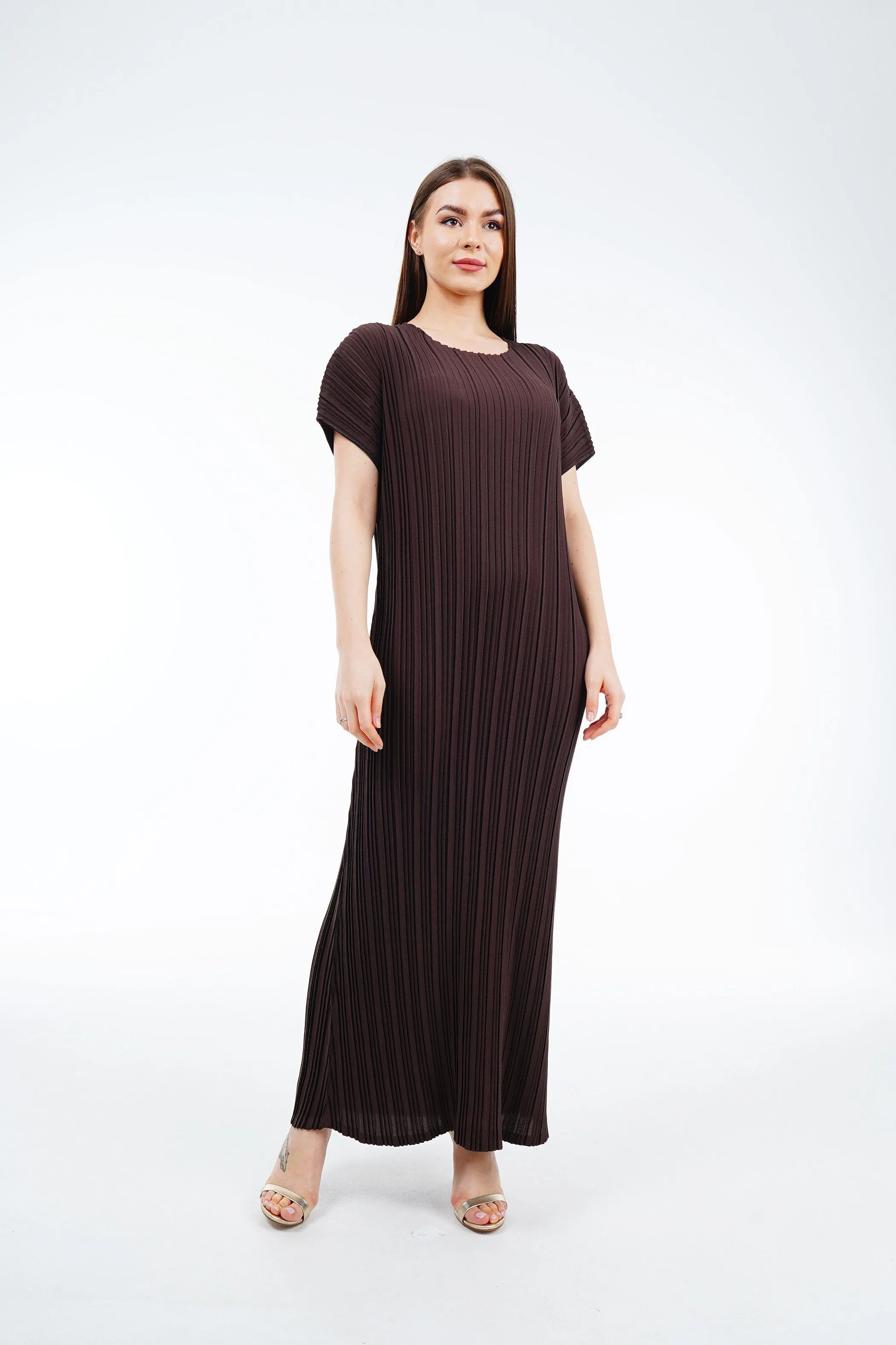 Delma Short Sleeve Pleated Dress