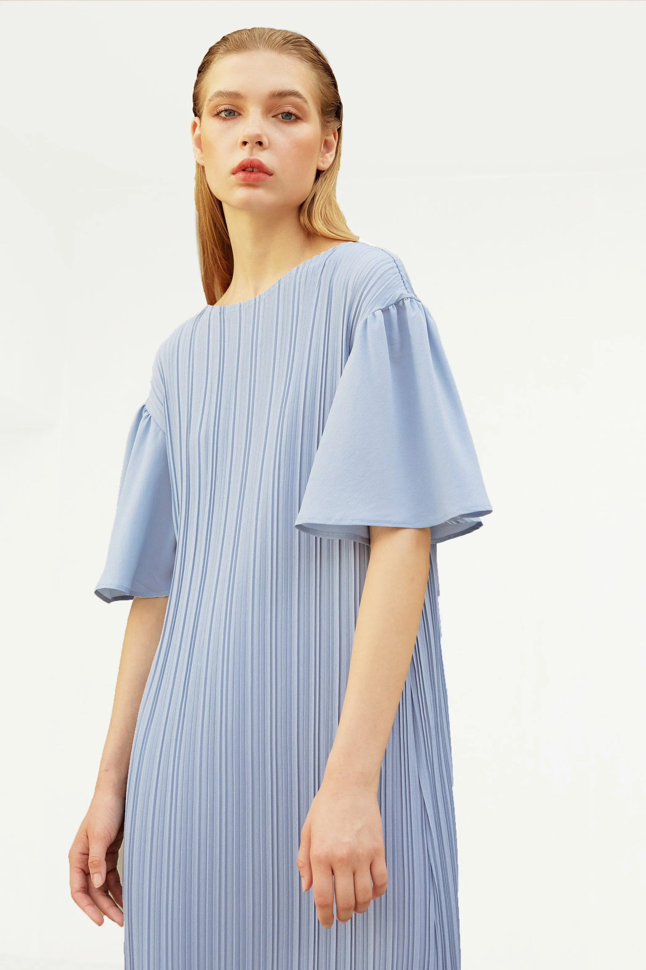 Duffin Pleated Dress With Flared Sleeves