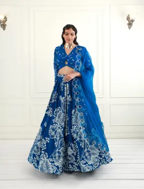 Embroidered Lehenga Set