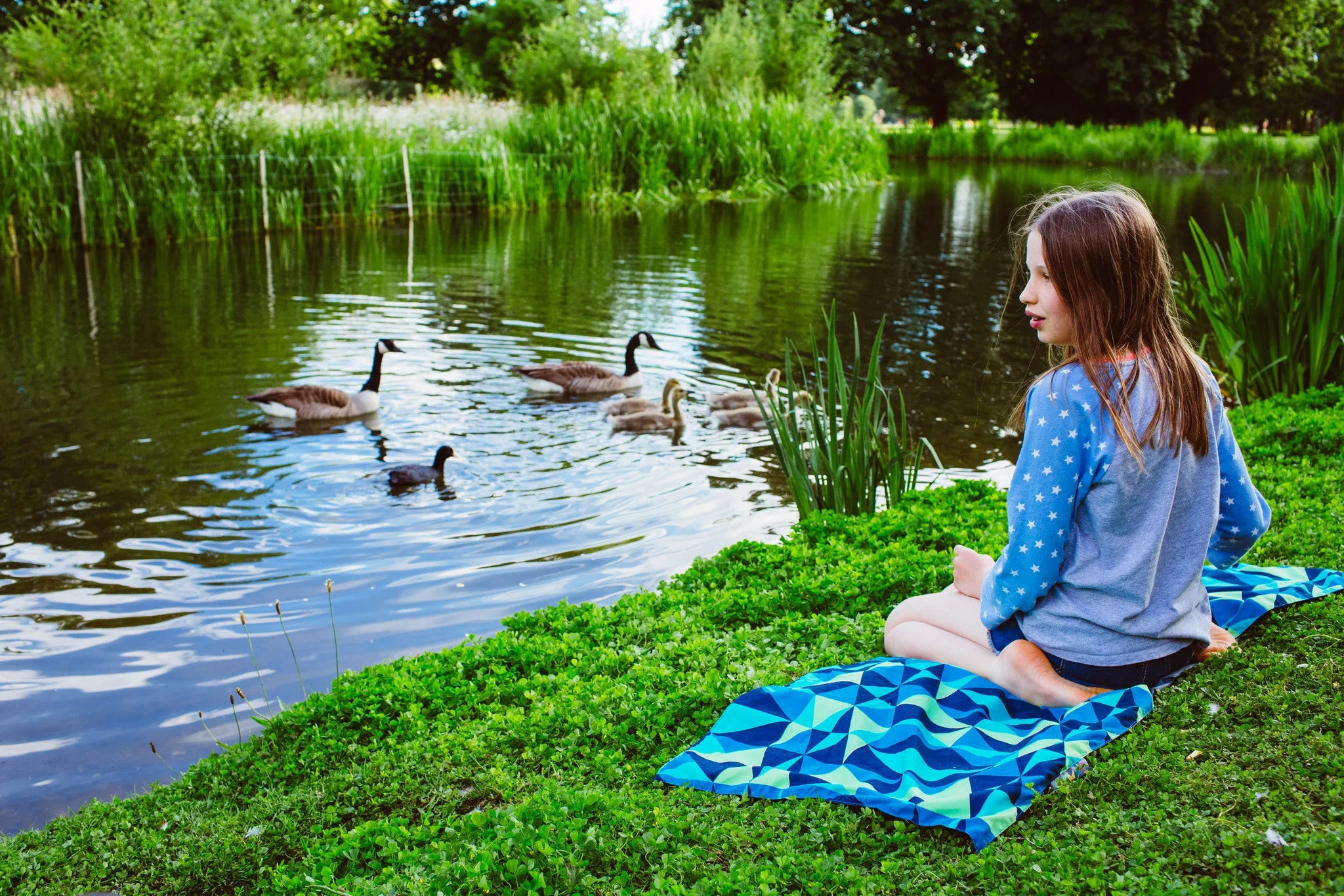 Harlequin Solo PACMAT Picnic Blanket